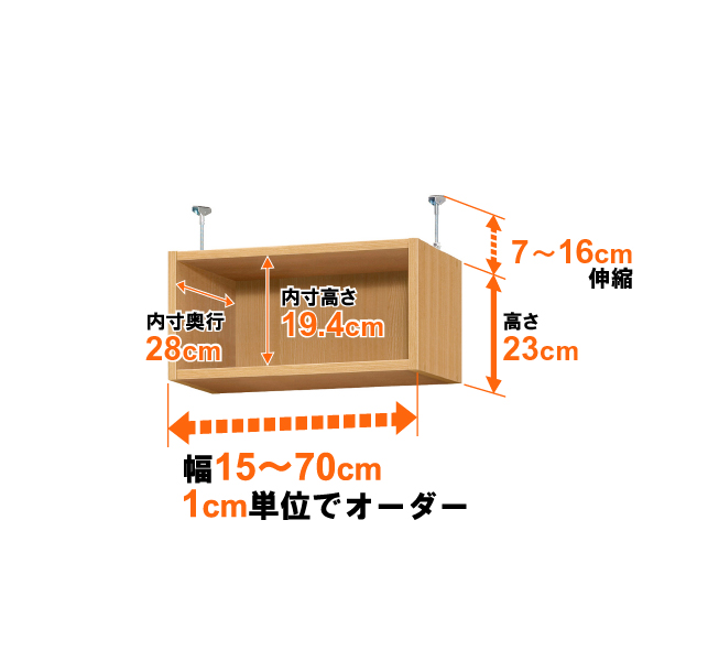 31cm