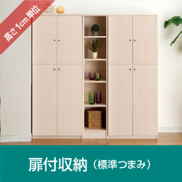 扉付き棚つき収納