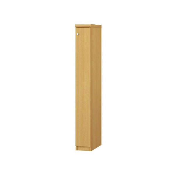(商品画像) エースラック/カラーラック オーダーメイド 扉付 奥行40cm×高さ117cm×幅15～24cm（標準タイプ）