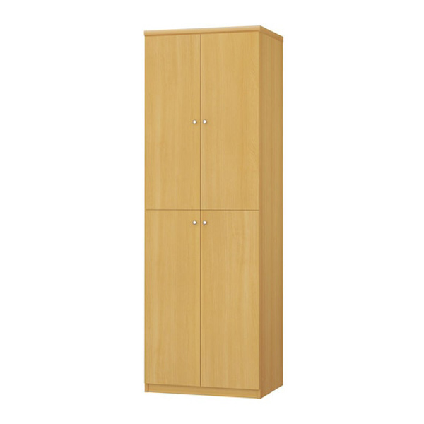 (商品画像) エースラック/カラーラック オーダーメイド 扉付 奥行46cm×高さ178cm×幅45～59cm（標準タイプ）