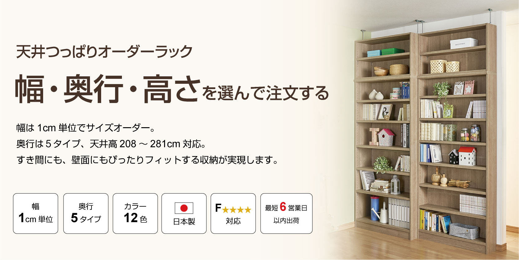 天井つっぱり本棚・壁面収納